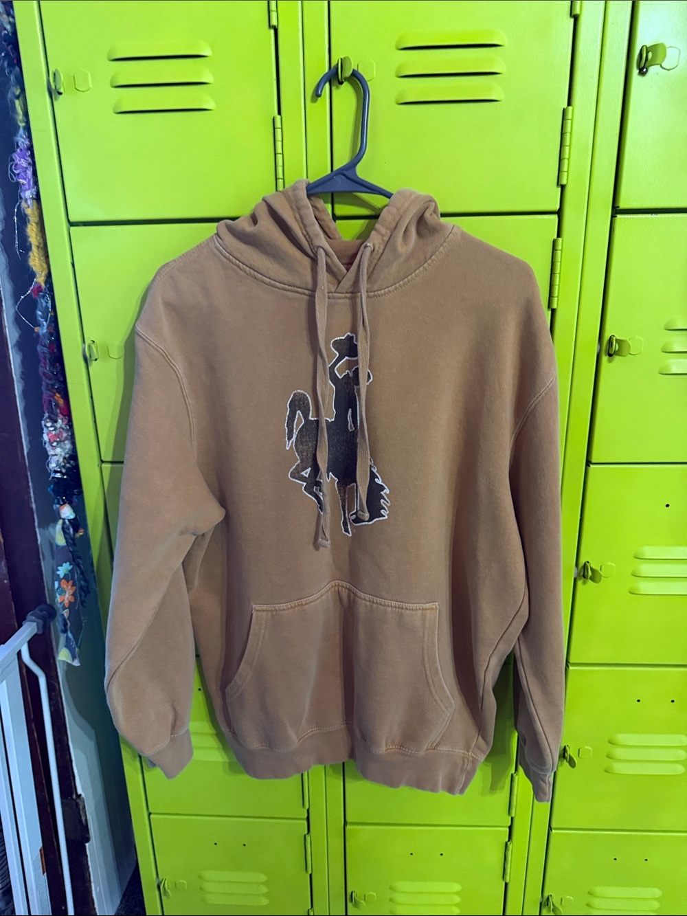 Men's Brown Hooded Pullover Sweatshirt with Graphic